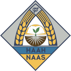 НААН